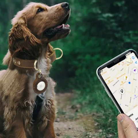 Luxury Genuine Leather AirTag Pet Collar