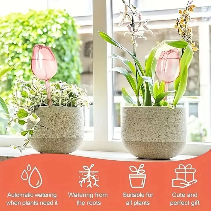 Pink Tulip Plant Watering Balls