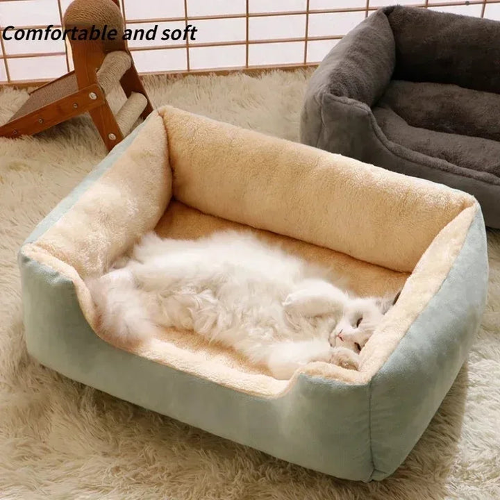 Pet Bed &amp; Cushion