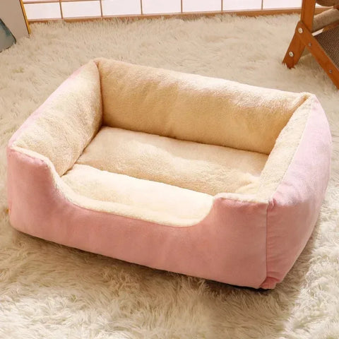 Pet Bed &amp; Cushion