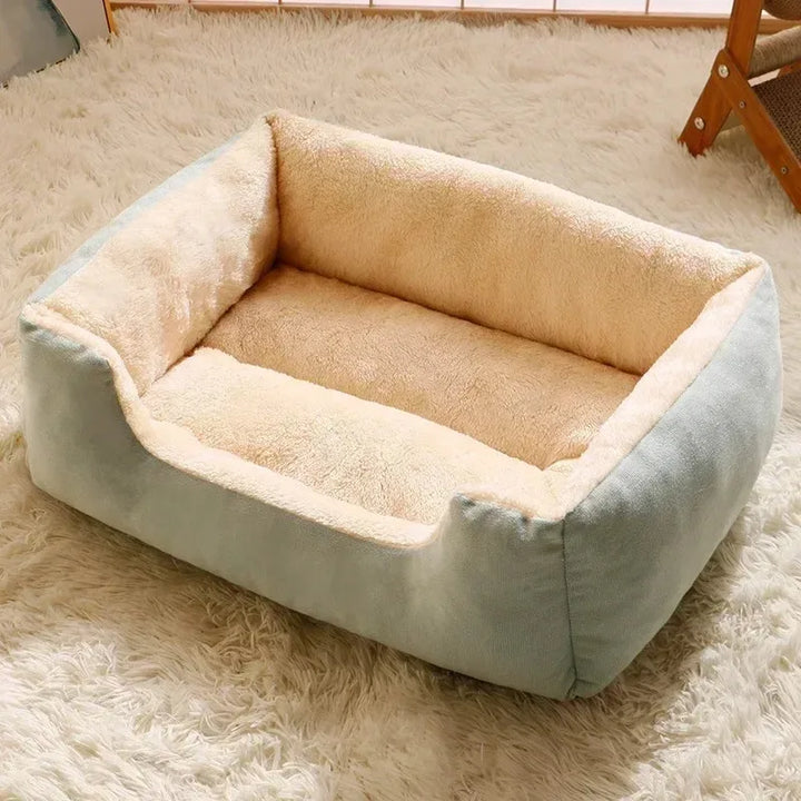 Pet Bed &amp; Cushion