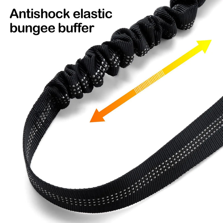 2-in-1 Dog Car Seat Belt