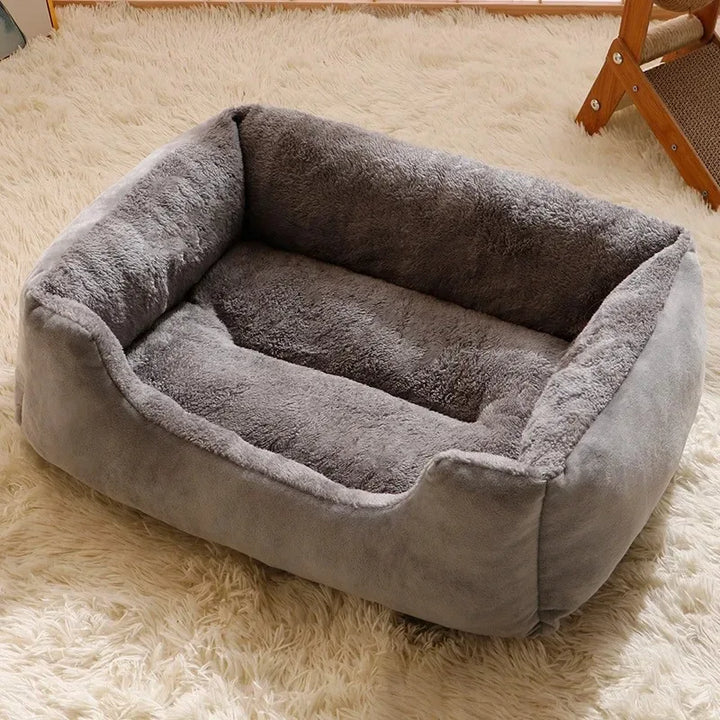 Pet Bed &amp; Cushion