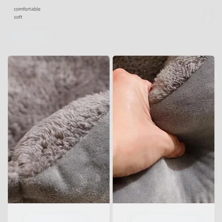 Pet Bed &amp; Cushion